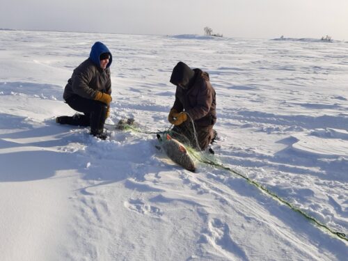 Ice Fishing