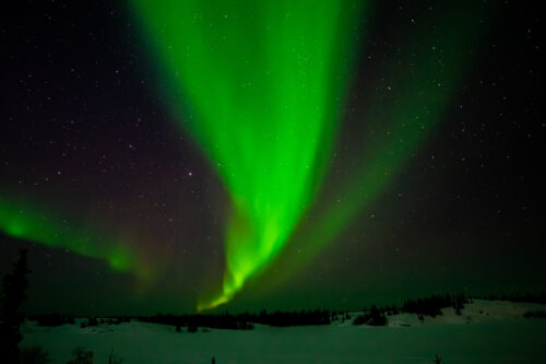 Northern Lights